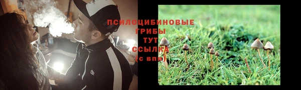 спиды Липки