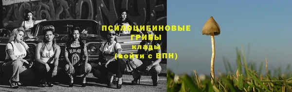 спиды Липки