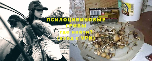 спиды Липки