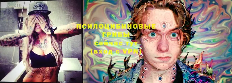 Галлюциногенные грибы мухоморы  OMG ссылка  Таруса 