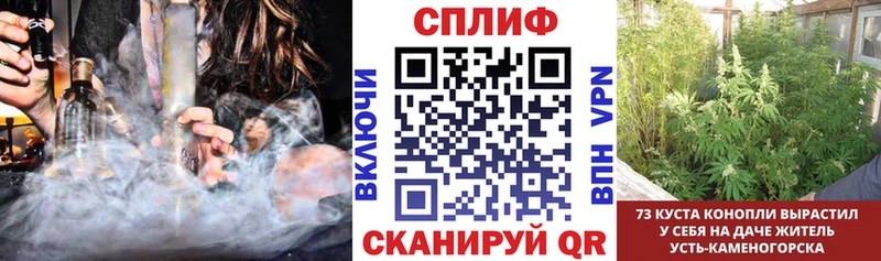Марихуана ГИДРОПОН  Таруса 